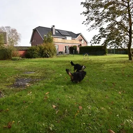Windhund Dornum